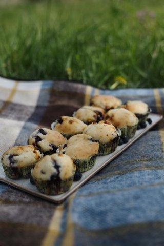 Glutenfreie Blaubeer-Muffins