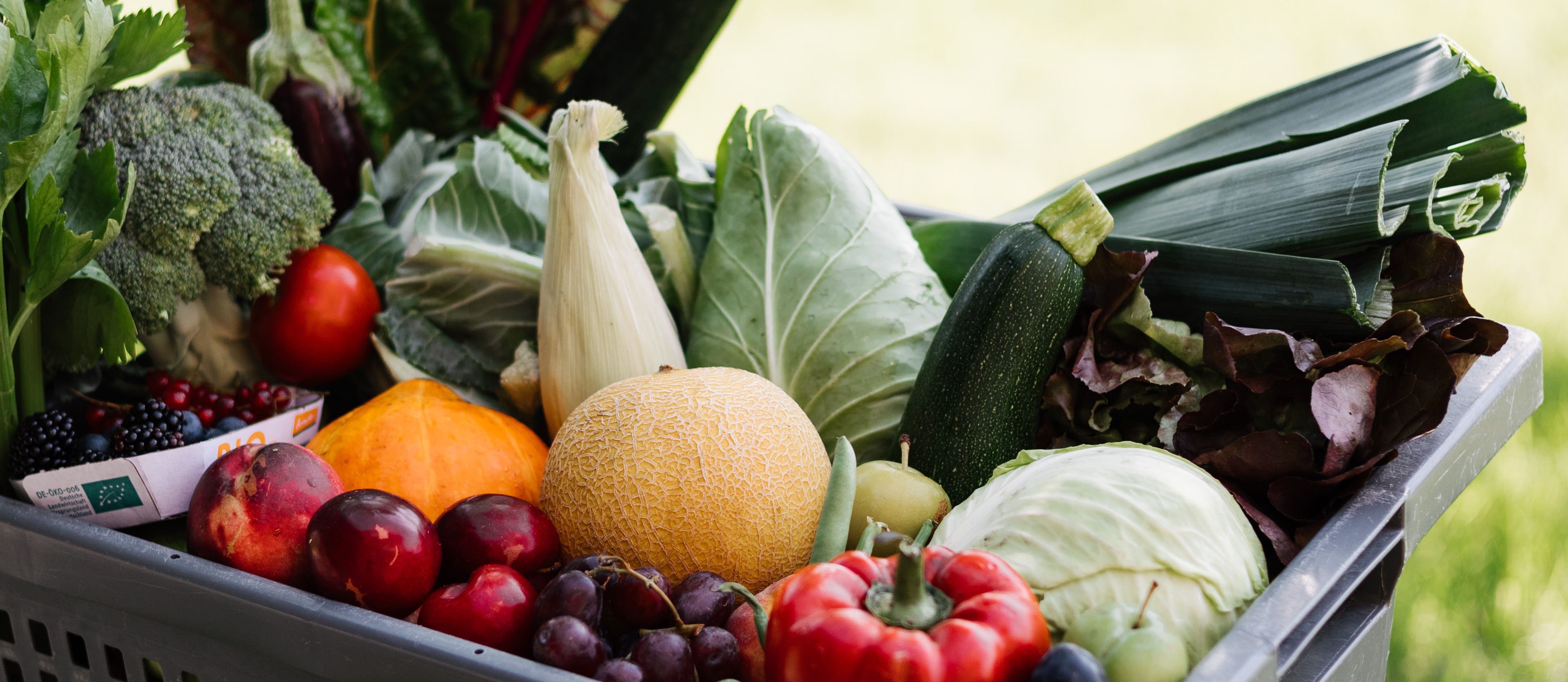 Auswahl an Bio-Obst und Bio-Gemüse für den Kita-Wocheneinkauf