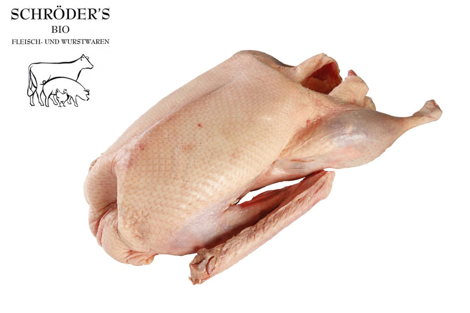 Gans (ca.3,8-4,8 kg)