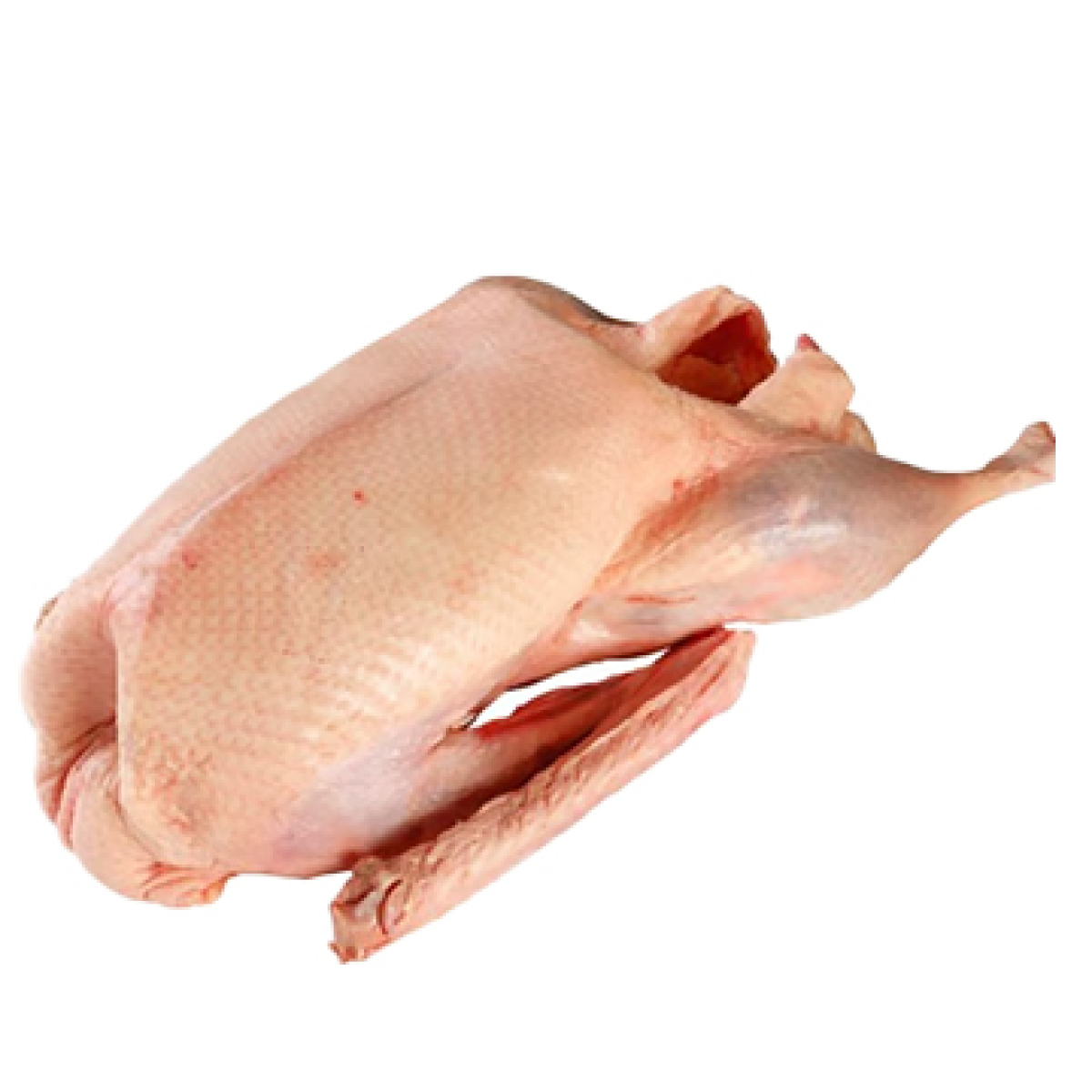 Gans demeter (ca. 3,8-4,8 kg)