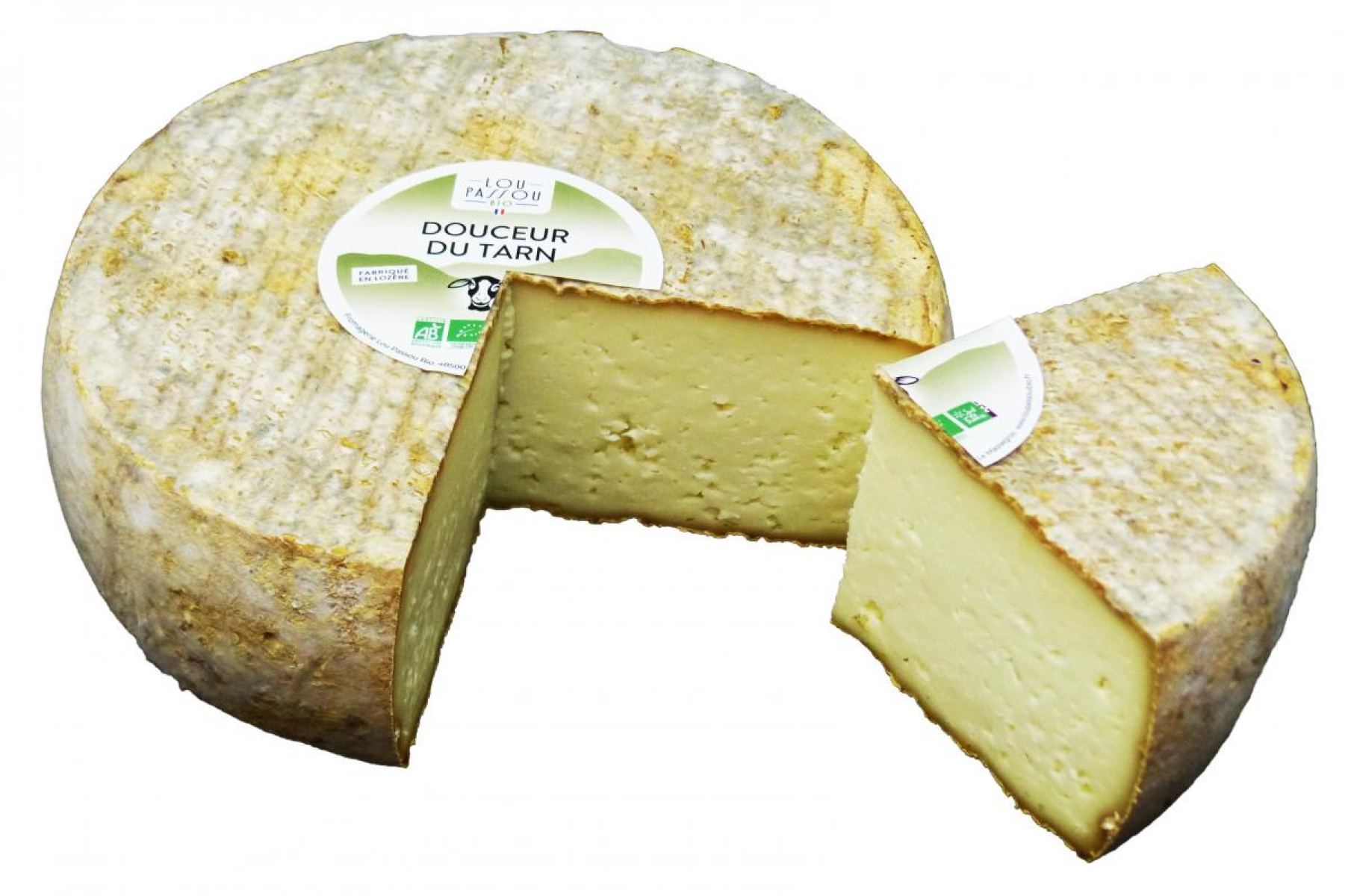 Schafkäse Douceur du Tarn 50% Fett i. Tr.