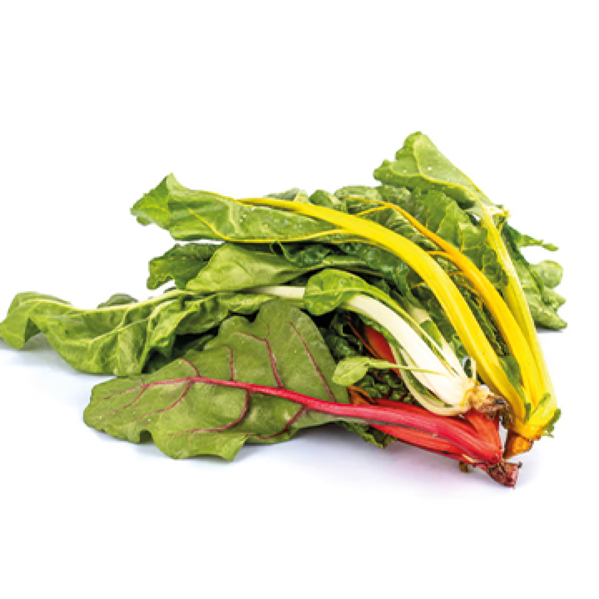 Mangold bunt 250g Bunde
