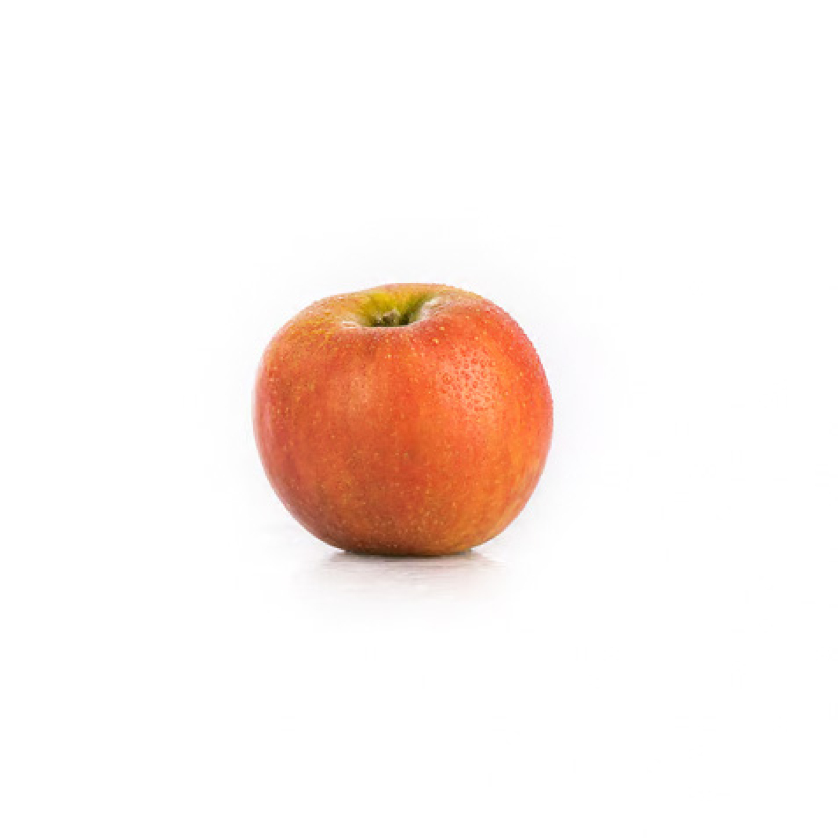 Apfel "Holsteiner Cox"