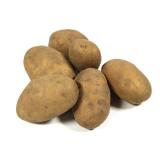 Frühkartoffeln "Corinna"