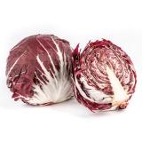 Radicchio