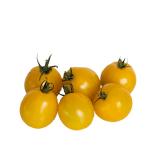 Tomaten gelb "Zebrago SF"