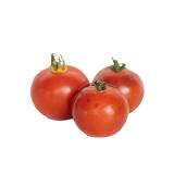 Tomate "Baylee/Temptation"