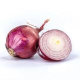 Zwiebeln rot