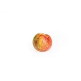 Apfel "Gravensteiner"