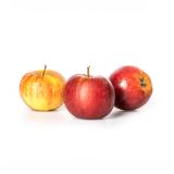 Apfel "Roter Altländer"