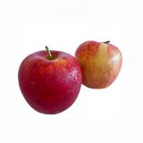 Apfel "Sissired"