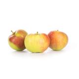 Apfel "Jamba"