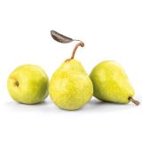 Birne "Packhams"