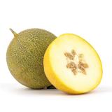 Honigmelone "Galia"