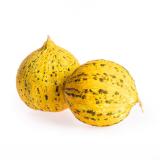 Honigmelone "Thrakis"