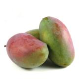 Mango "Osteen"
