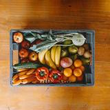 Büro- / Snackkiste M