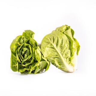 Salat "Mini-Romana, grün"