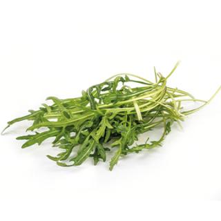 Rucola