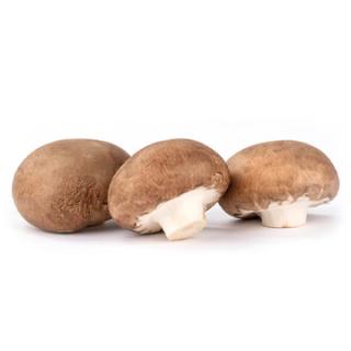 Steinchampignons