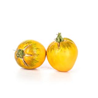 Tomaten gelb "Zebrago SF"