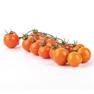 Cherrystrauchtomate