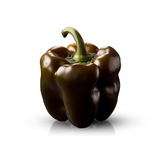 Paprika, schwarz