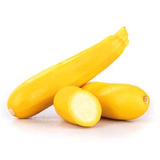 Gelbe Zucchini (Schalenfehler)