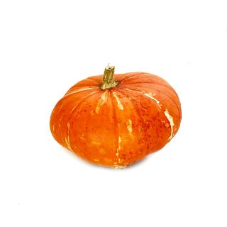 Kürbis Bischofsmütze