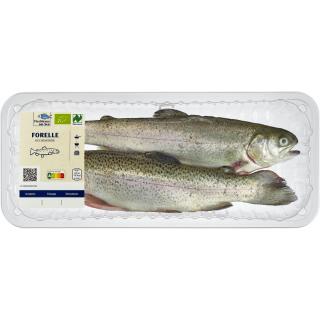 Regenbogenforelle (ca. 300 g)