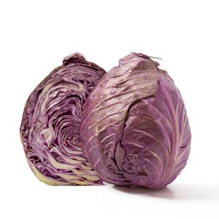 Spitzkohl, rot