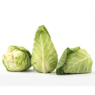 Spitzkohl (Stück)