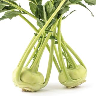 Kohlrabi