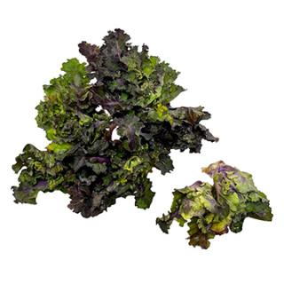 Flower Sprouts