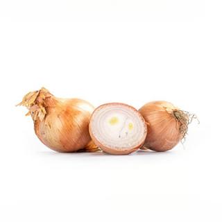 Zwiebeln "Rosé de Bretagne"