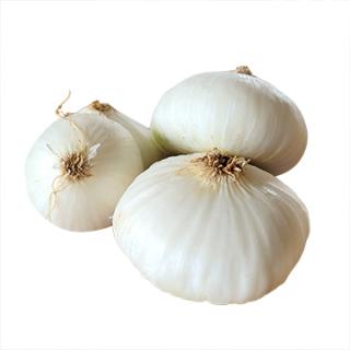 Zwiebeln weiß