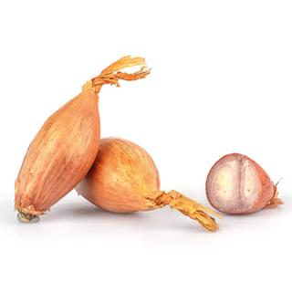 Schalotten