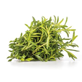 Bohnenkraut
