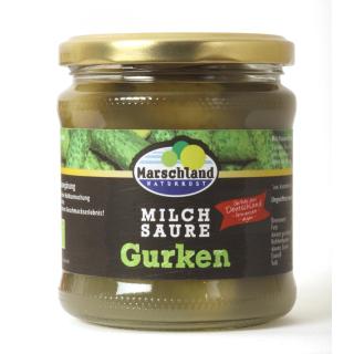 Salzgurken fermentiert