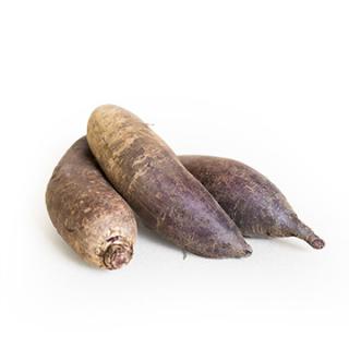 Rote Bete "Forino" länglich