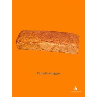 Camelina-Roggenmischbrot