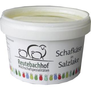 Schafkäse in Salzlake