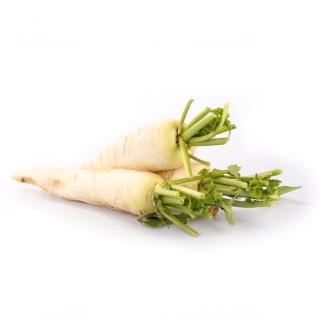 Japanrettich "Daikon"