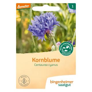 Saat Kornblume