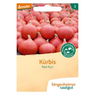 Saat Hokkaidokürbis "Red Kuri"