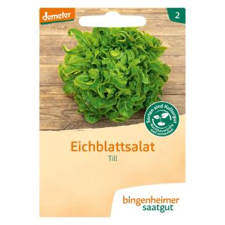 Saat Eichblattsalat "Till"