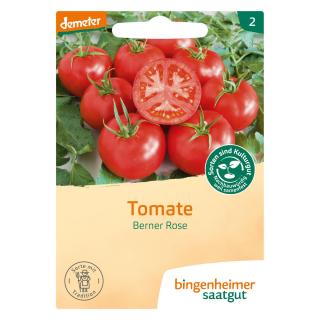Saat Tomate "Berner Rose"