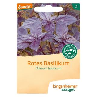 Saat Basilikum rot