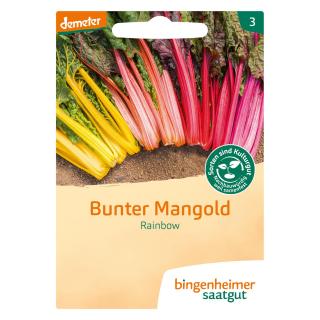 Saat Mangold "Rainbow"