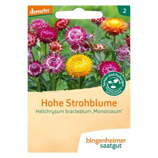 Saat Hohe Strohblume